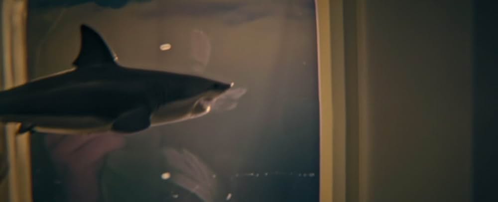 スカイ・シャークの画像