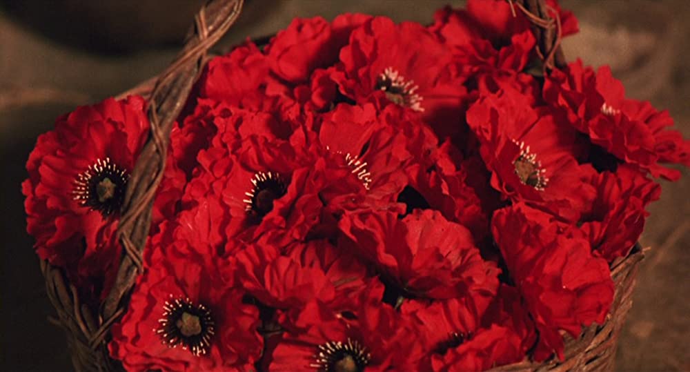 カラヴァッジオの画像