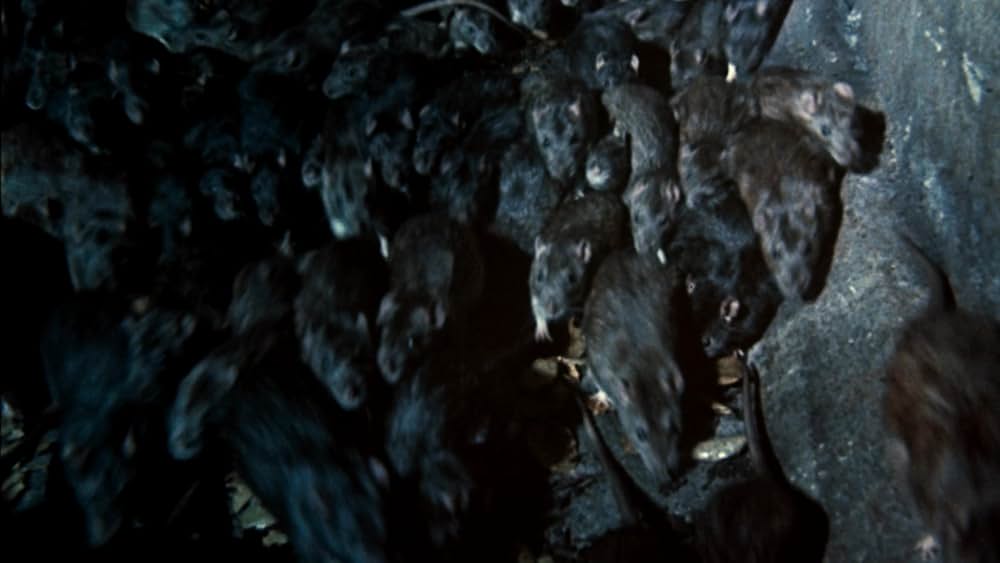 ムーンウォーカーの画像