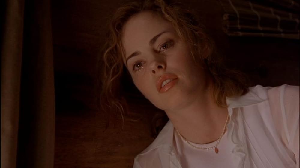 THE SALTON SEA ソルトン・シーの画像