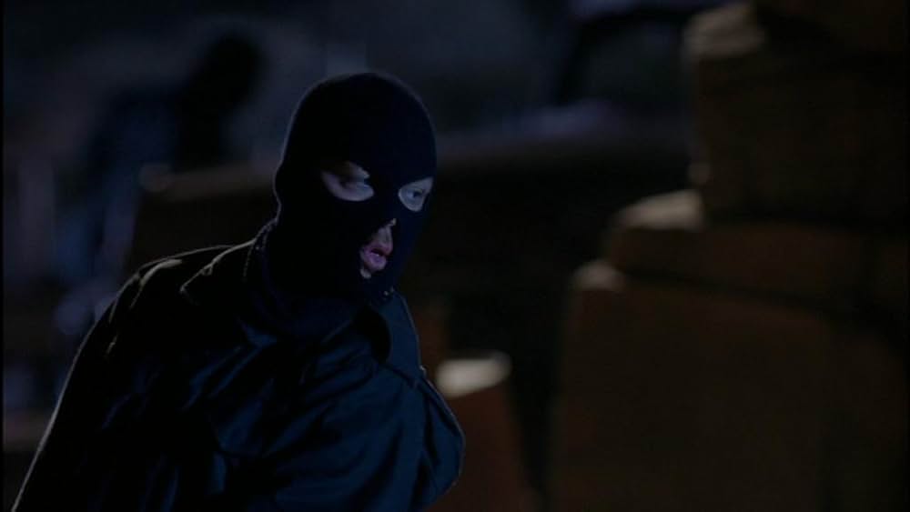 THE SALTON SEA ソルトン・シーの画像