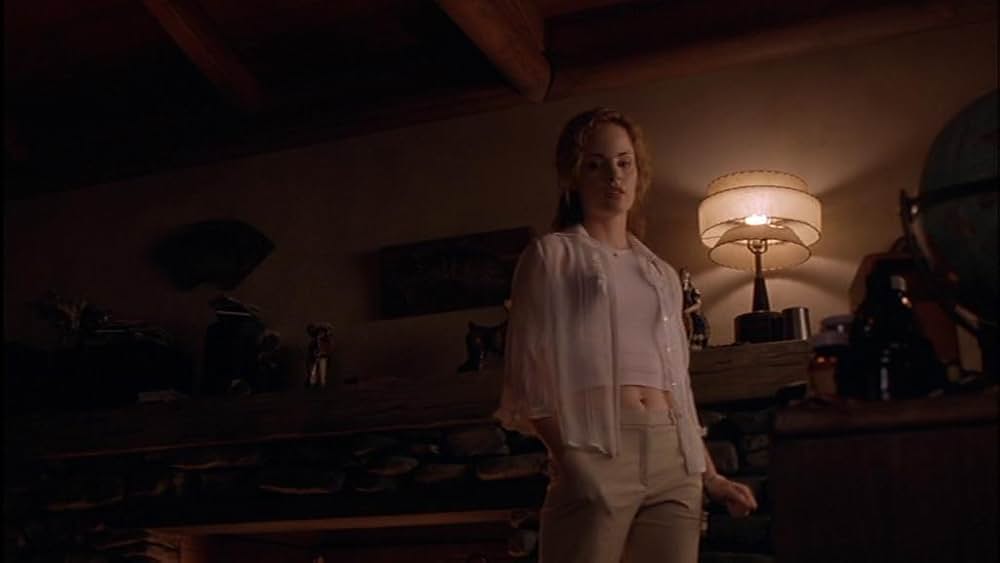 THE SALTON SEA ソルトン・シーの画像