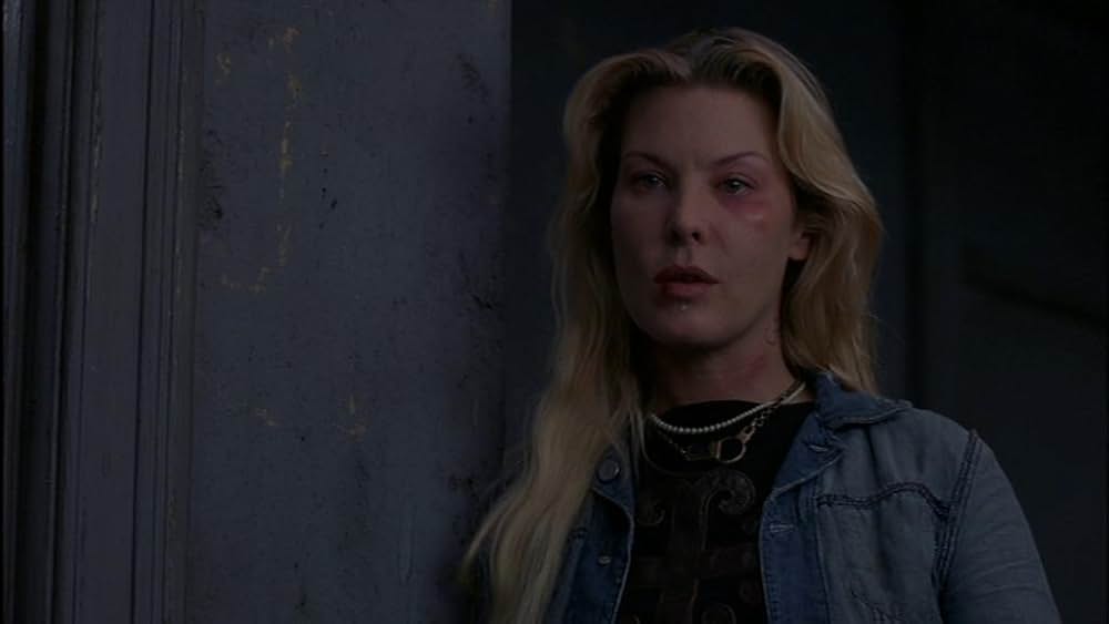 THE SALTON SEA ソルトン・シーの画像