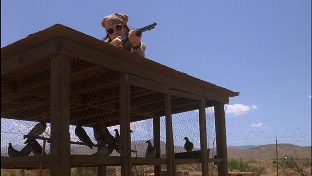 THE SALTON SEA ソルトン・シーの画像