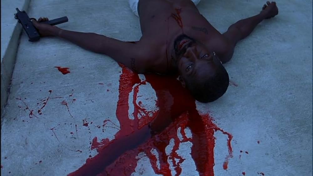 THE SALTON SEA ソルトン・シーの画像