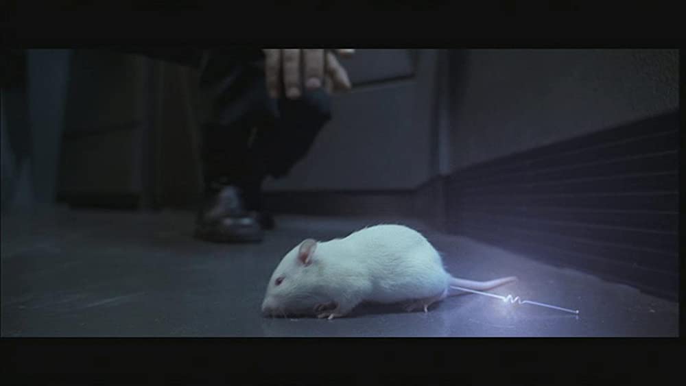 ザ・ワンの画像