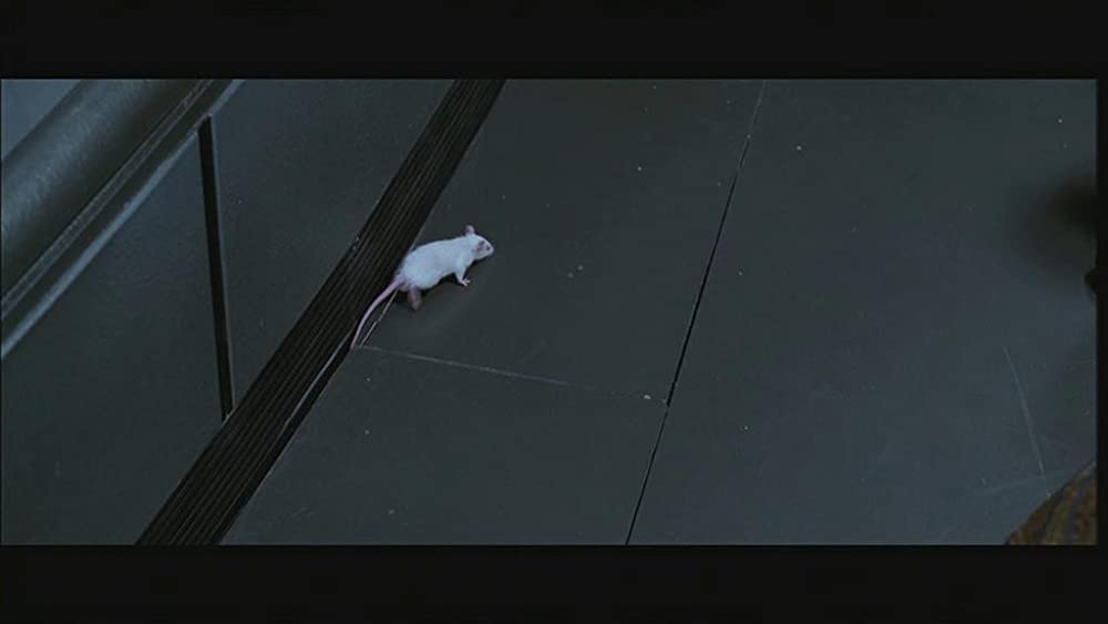 ザ・ワンの画像