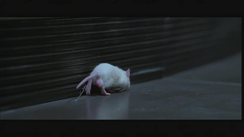 ザ・ワンの画像