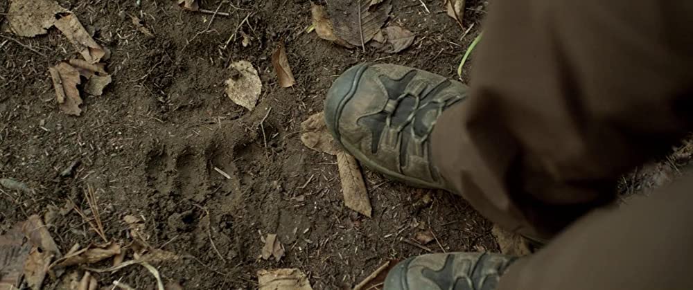 ブラックフット クマ地獄の画像