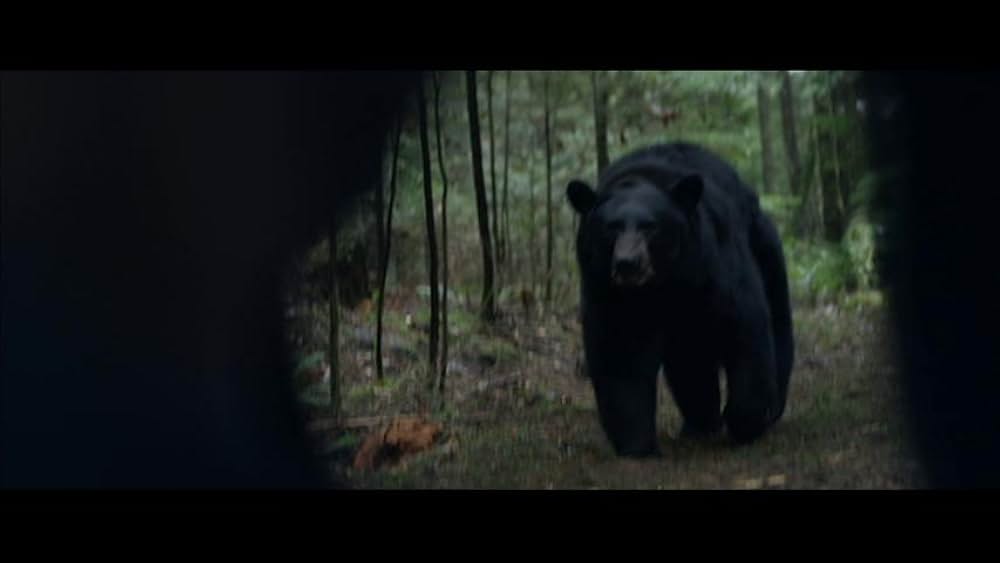 ブラックフット クマ地獄の画像