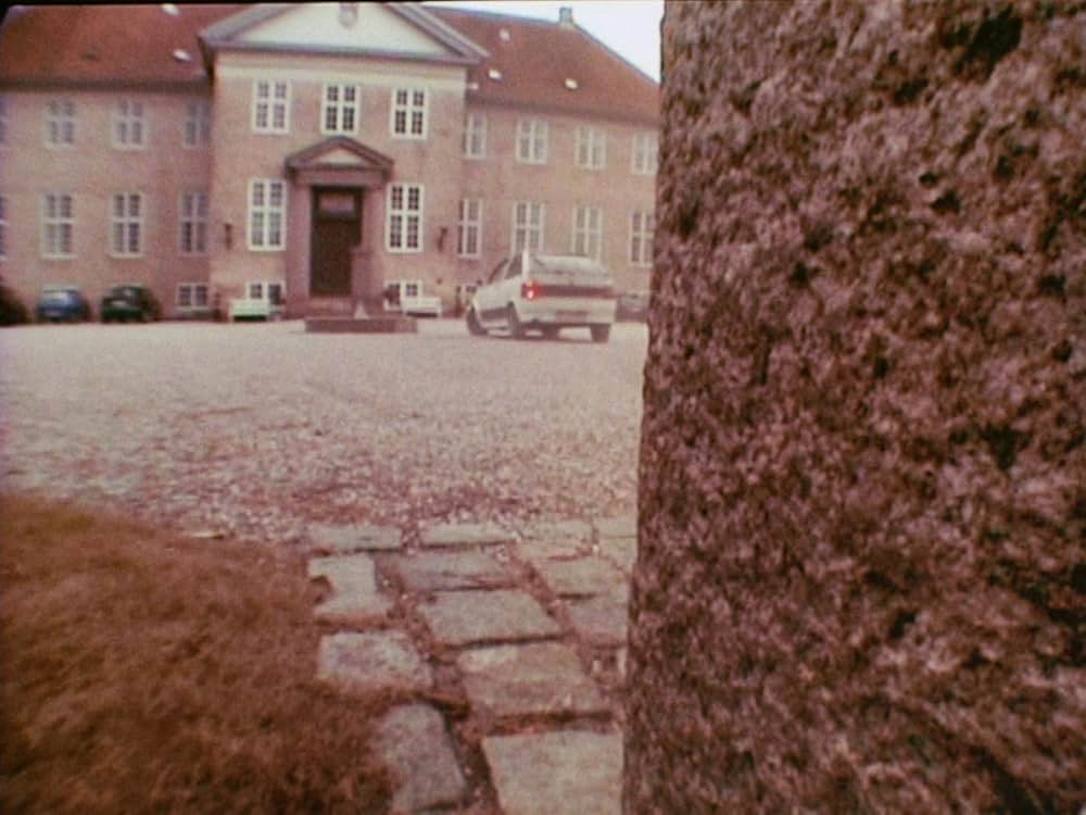 セレブレーションの画像