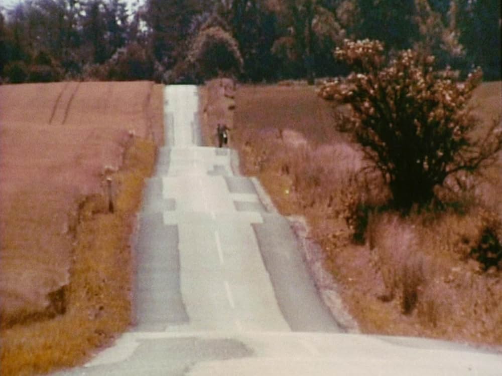 セレブレーションの画像