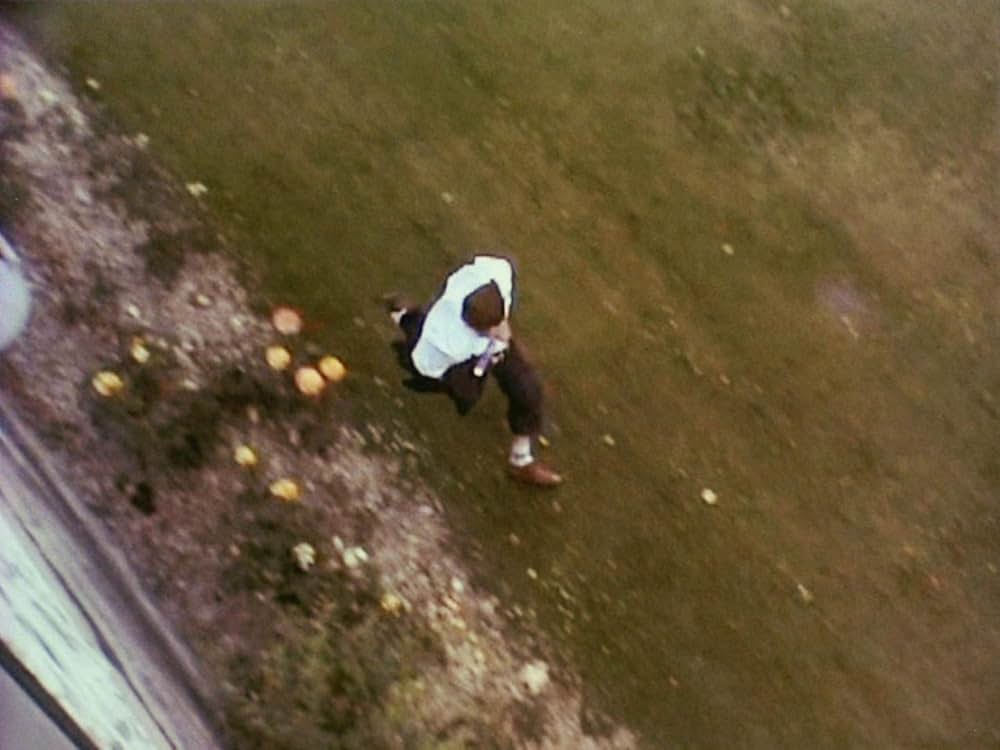 セレブレーションの画像