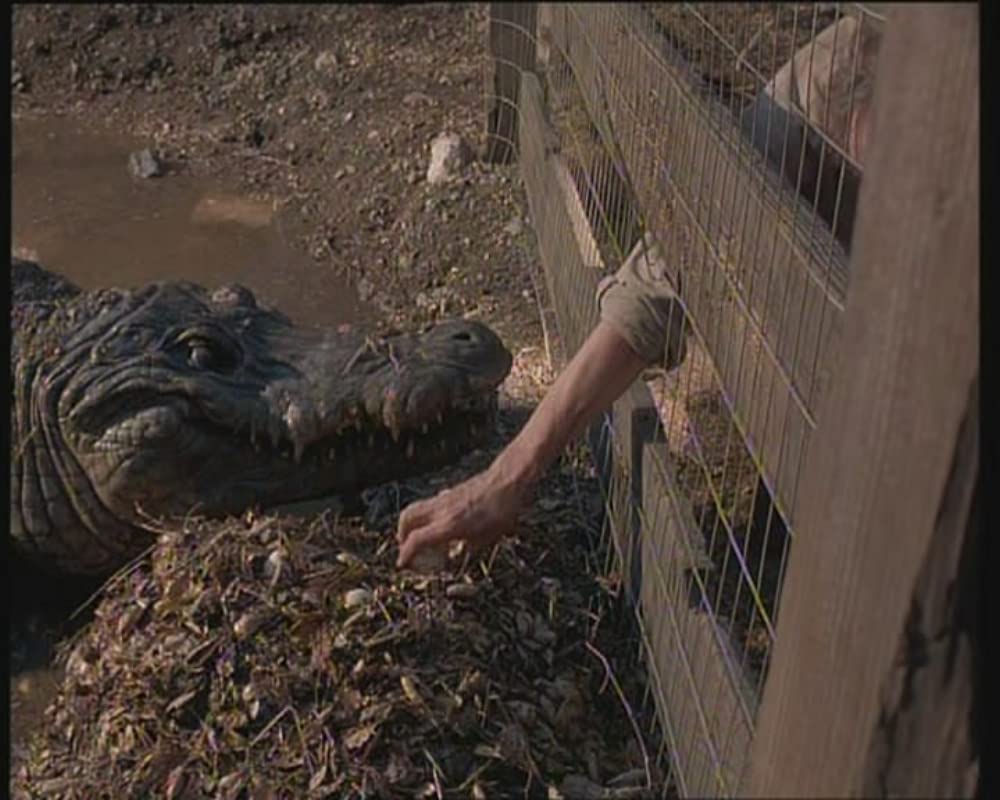 レプティリアの画像