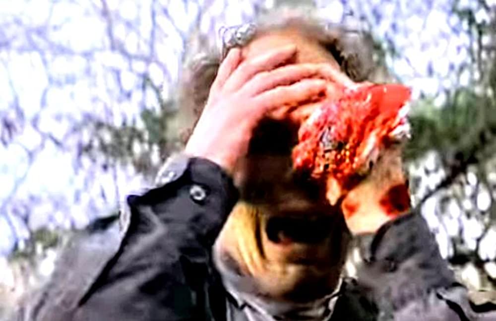 レプティリアの画像