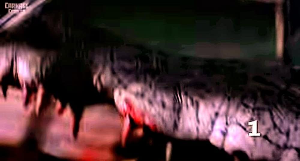 レプティリアの画像