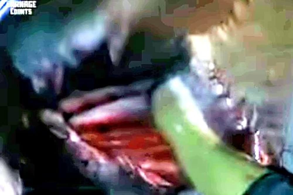 レプティリアの画像