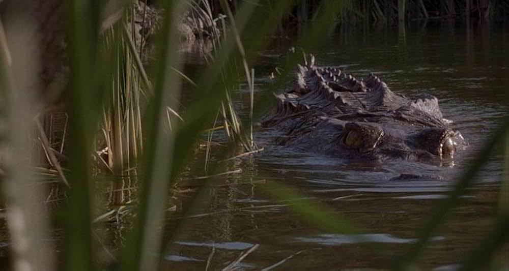 レプティリアの画像