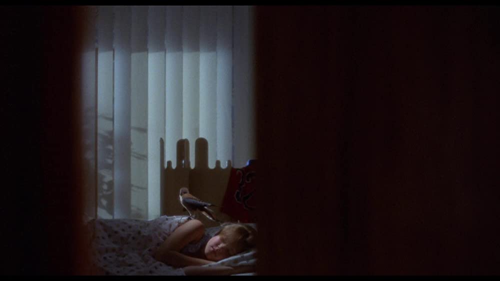 ザ・ビジターの画像