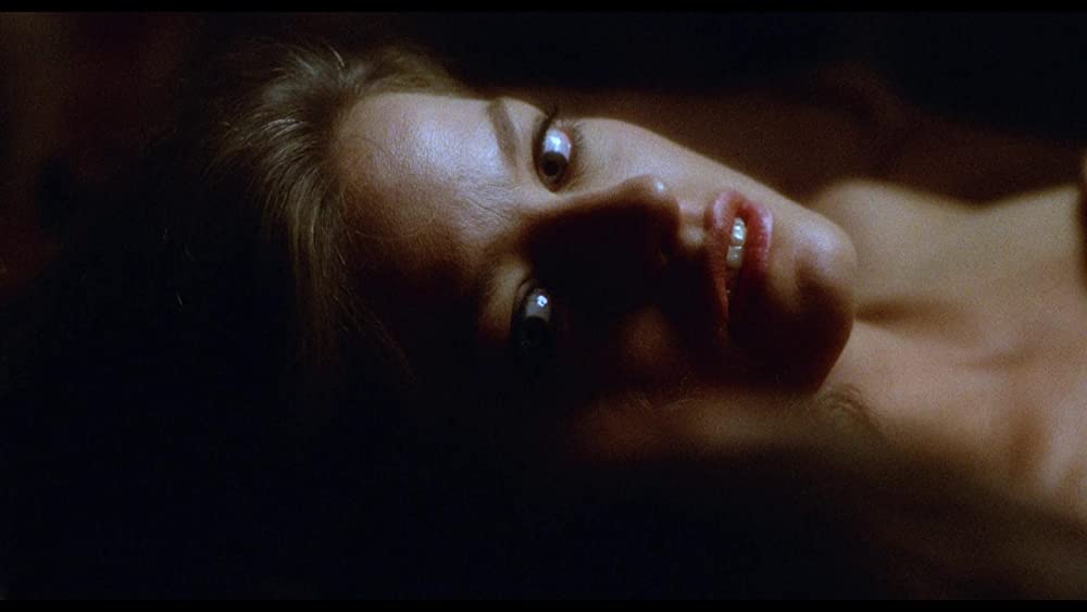 ザ・ビジターの画像