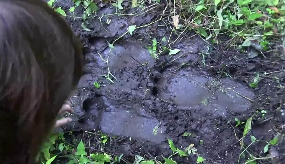 戦慄怪奇ファイル コワすぎ！ FILE-03 人喰い河童伝説の画像