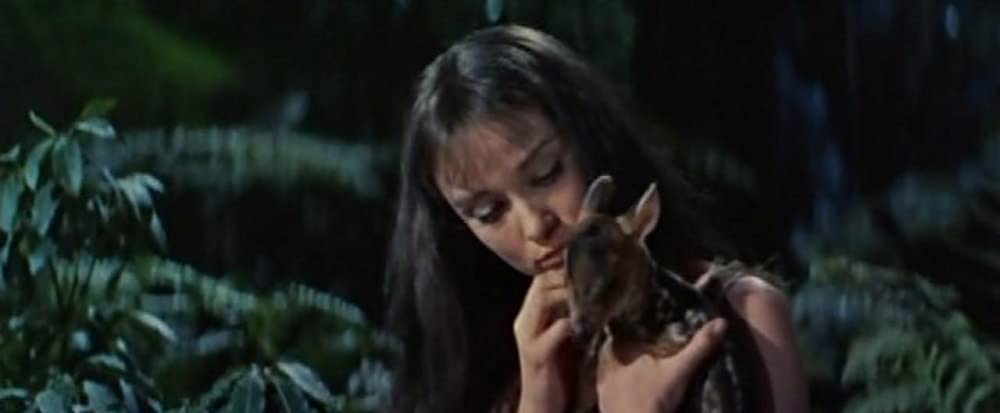 「緑の館」オードリー・ヘプバーン & アンソニー・パーキンスの画像