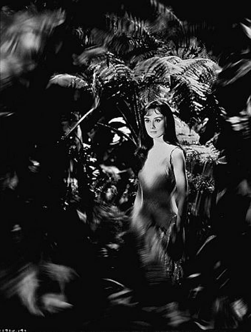 「緑の館」オードリー・ヘプバーンの画像