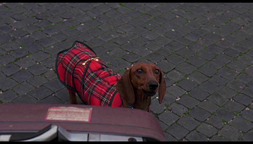 モンテカルロ殺人事件の画像