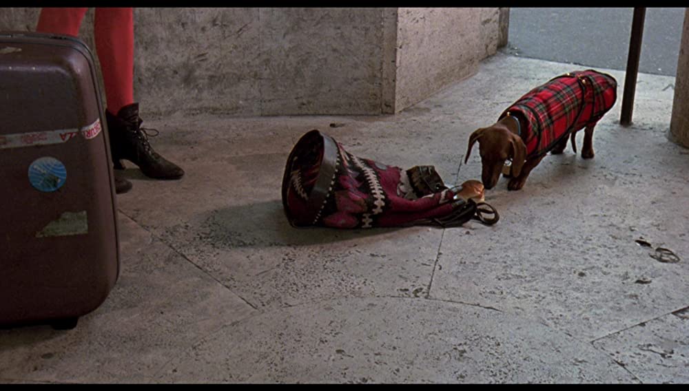 モンテカルロ殺人事件の画像