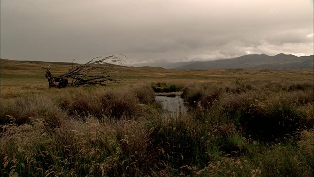 「どろろ」の画像