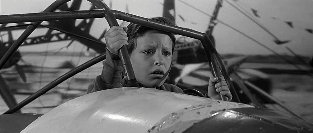 翼に賭ける命の画像