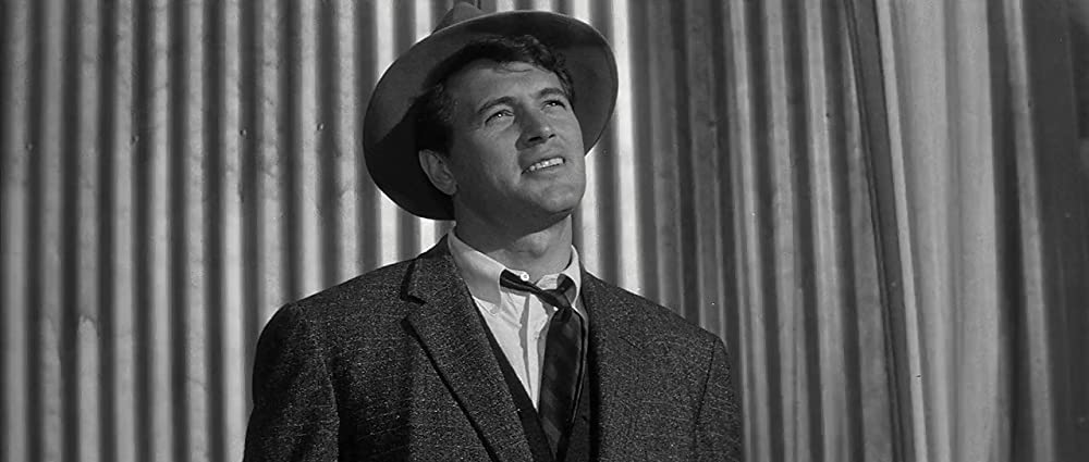 翼に賭ける命の画像