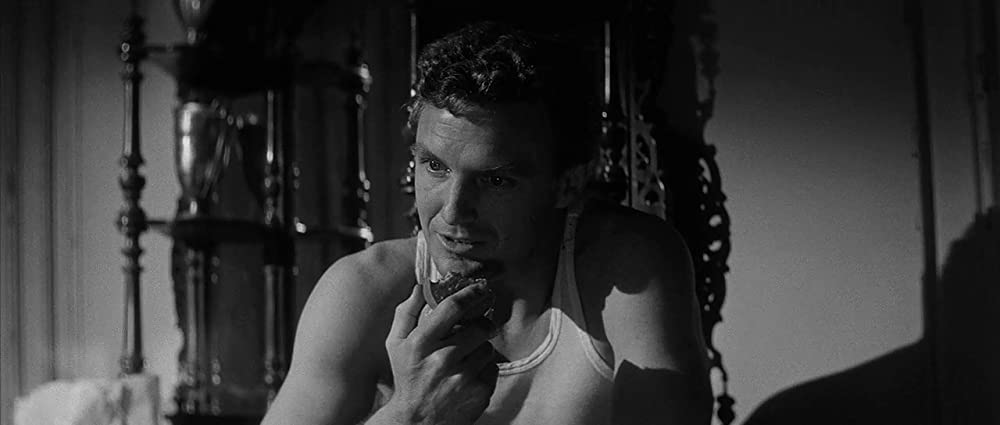 翼に賭ける命の画像