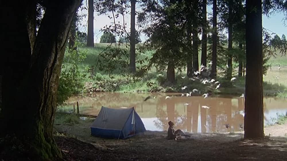 「ボディ・ターゲット」ジャン＝クロード・バン・ダムの画像