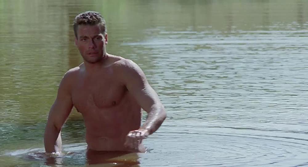 ボディ・ターゲットの画像