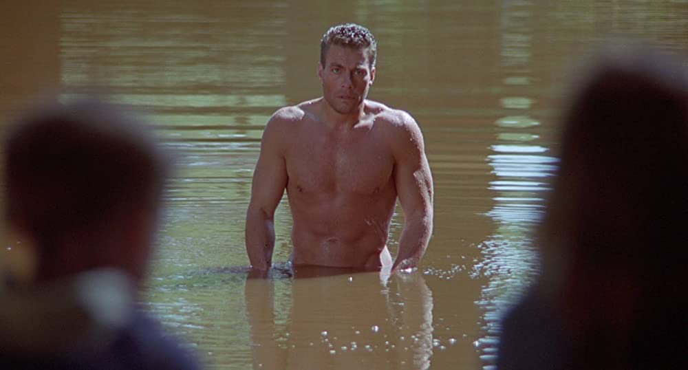 ボディ・ターゲットの画像