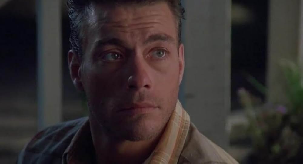 ボディ・ターゲットの画像