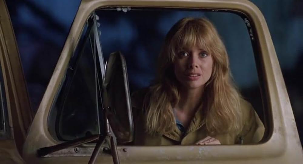 ボディ・ターゲットの画像