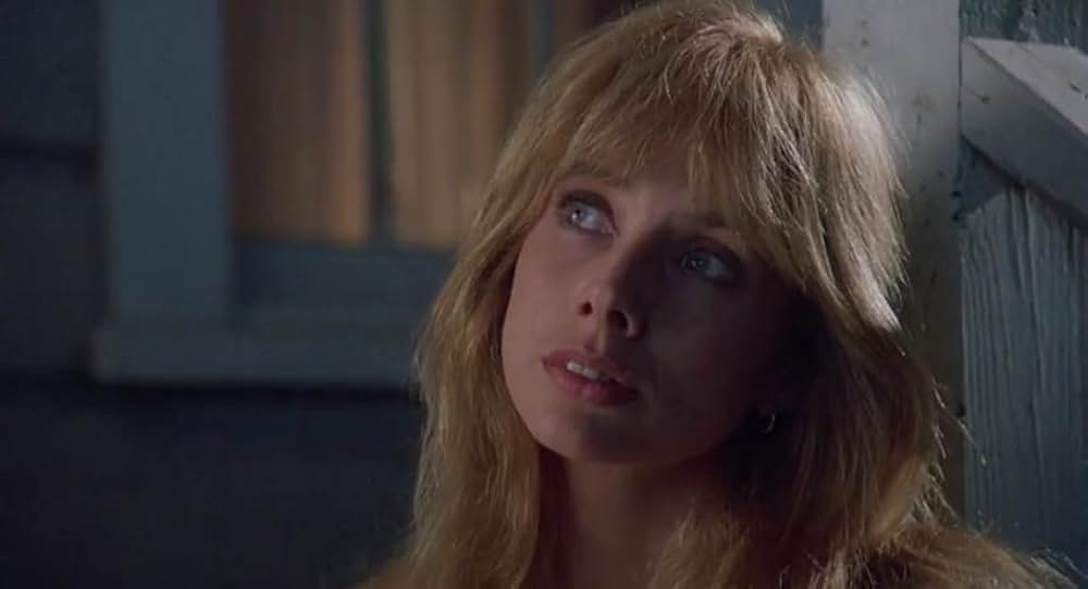 ボディ・ターゲットの画像