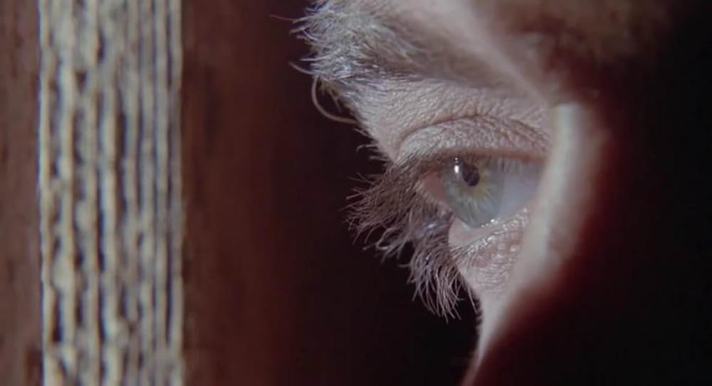 ボディ・ターゲットの画像