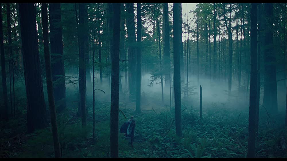 スイッチ・オフ／森へ 少女ネルの日記の画像