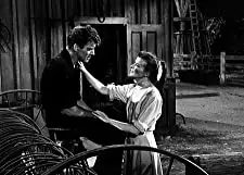 「雨を降らす男」キャサリン・ヘプバーン & バート・ランカスターの画像