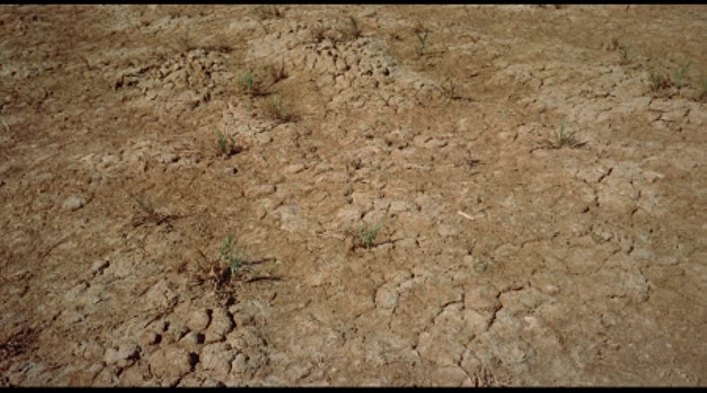 雨を降らす男の画像