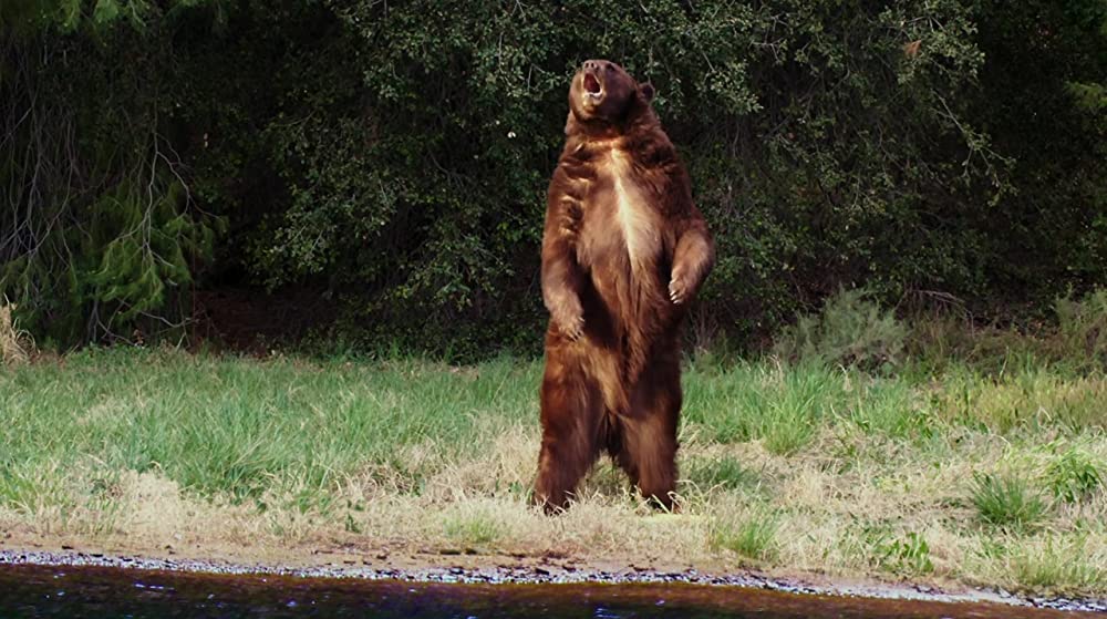 ゾンビーバーの画像