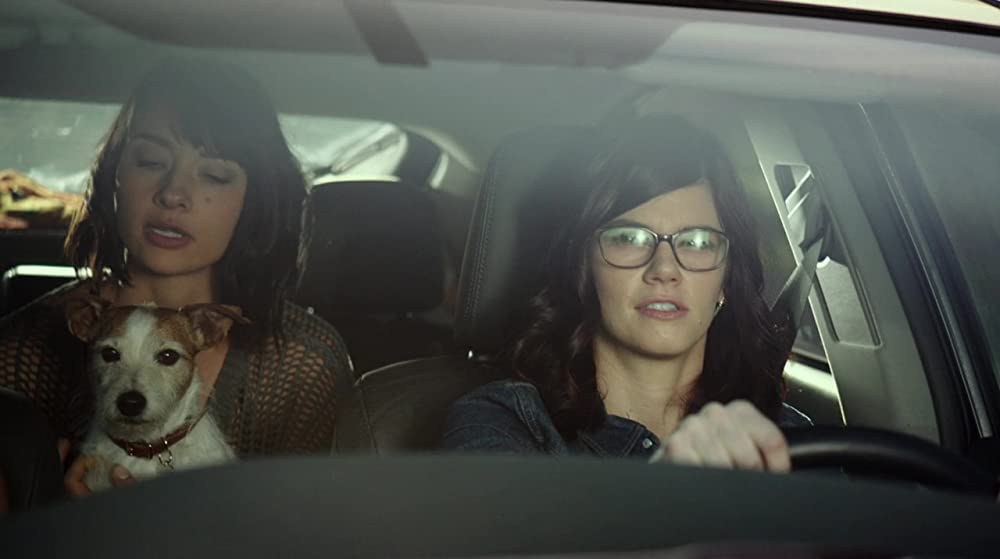 ゾンビーバーの画像