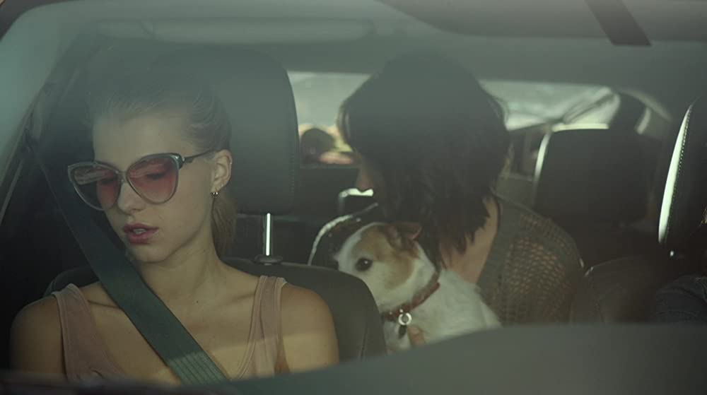 ゾンビーバーの画像