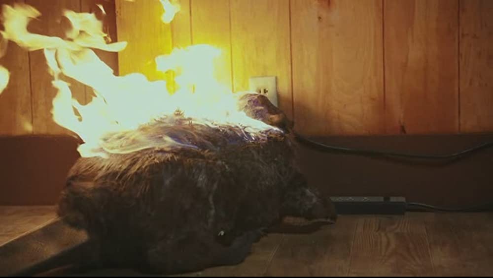 ゾンビーバーの画像