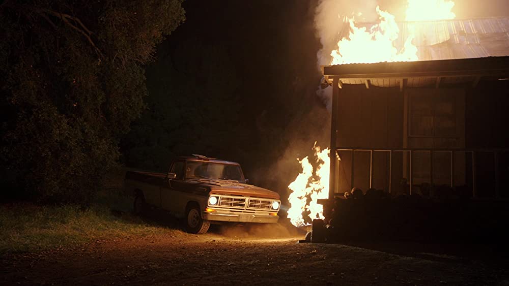 ゾンビーバーの画像