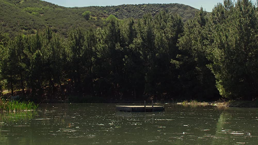 ゾンビーバーの画像