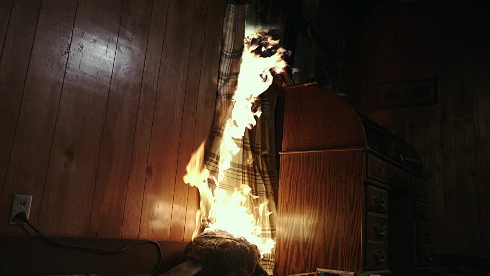 ゾンビーバーの画像